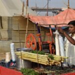 pexels-rajesh-s-balouria-18295371